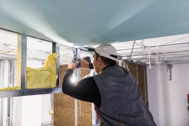 Best Insulation Repair Services  in Mooresville, NC